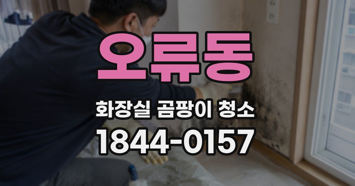 오류동 화장실 곰팡이 청소