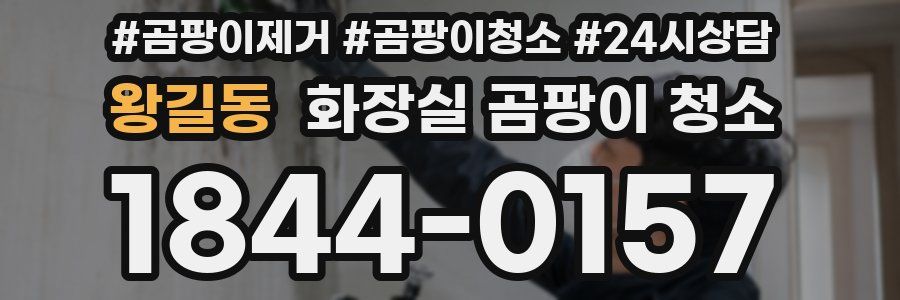 왕길동 화장실 곰팡이 청소