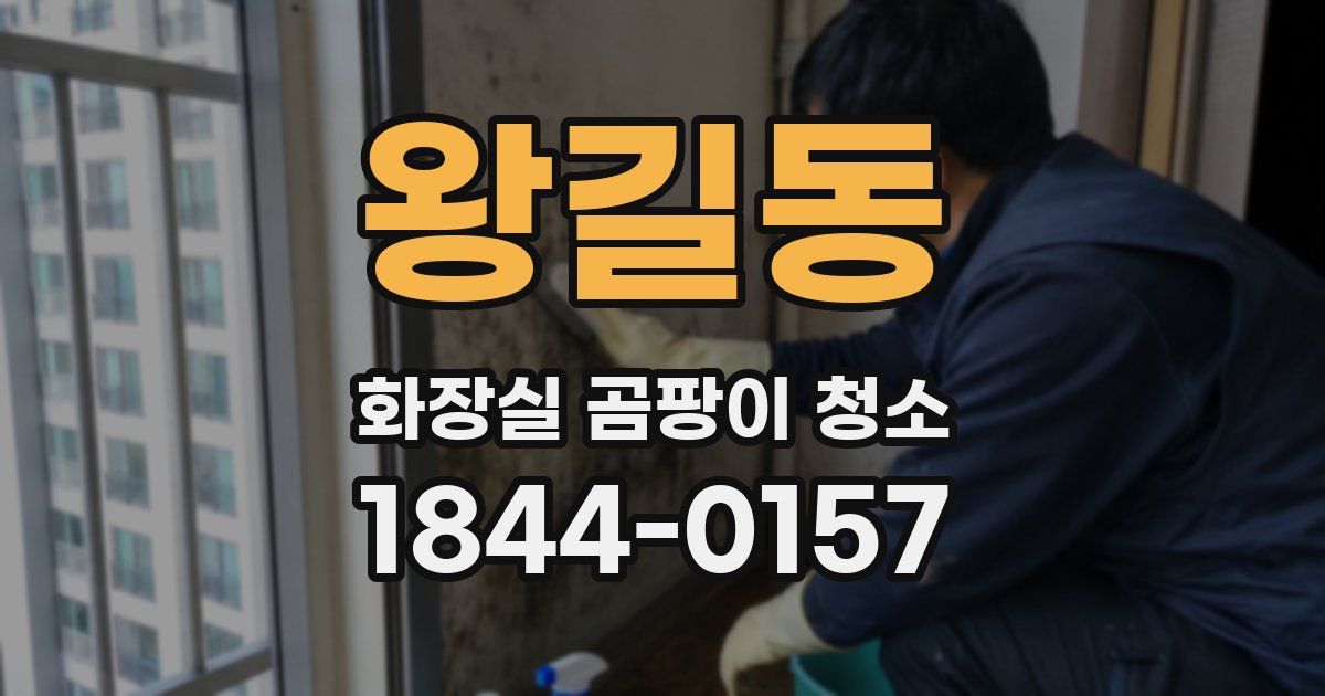 왕길동 화장실 곰팡이 청소