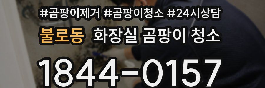 불로동 화장실 곰팡이 청소
