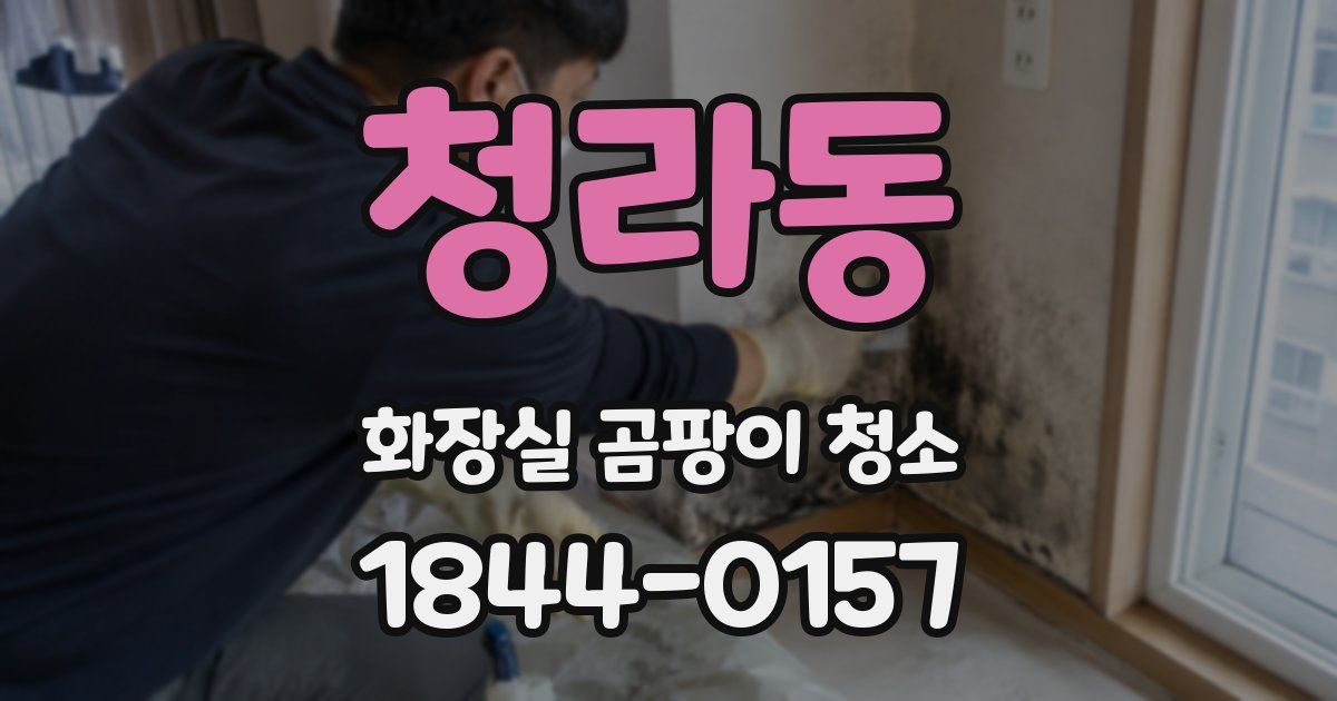 청라동 화장실 곰팡이 청소