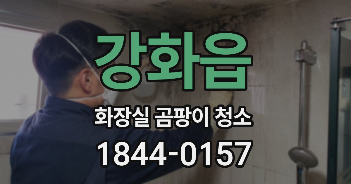 강화읍 화장실 곰팡이 청소
