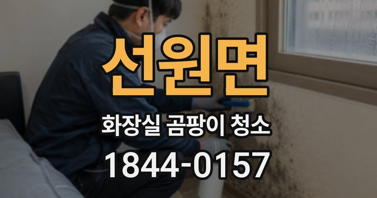 선원면 화장실 곰팡이 청소