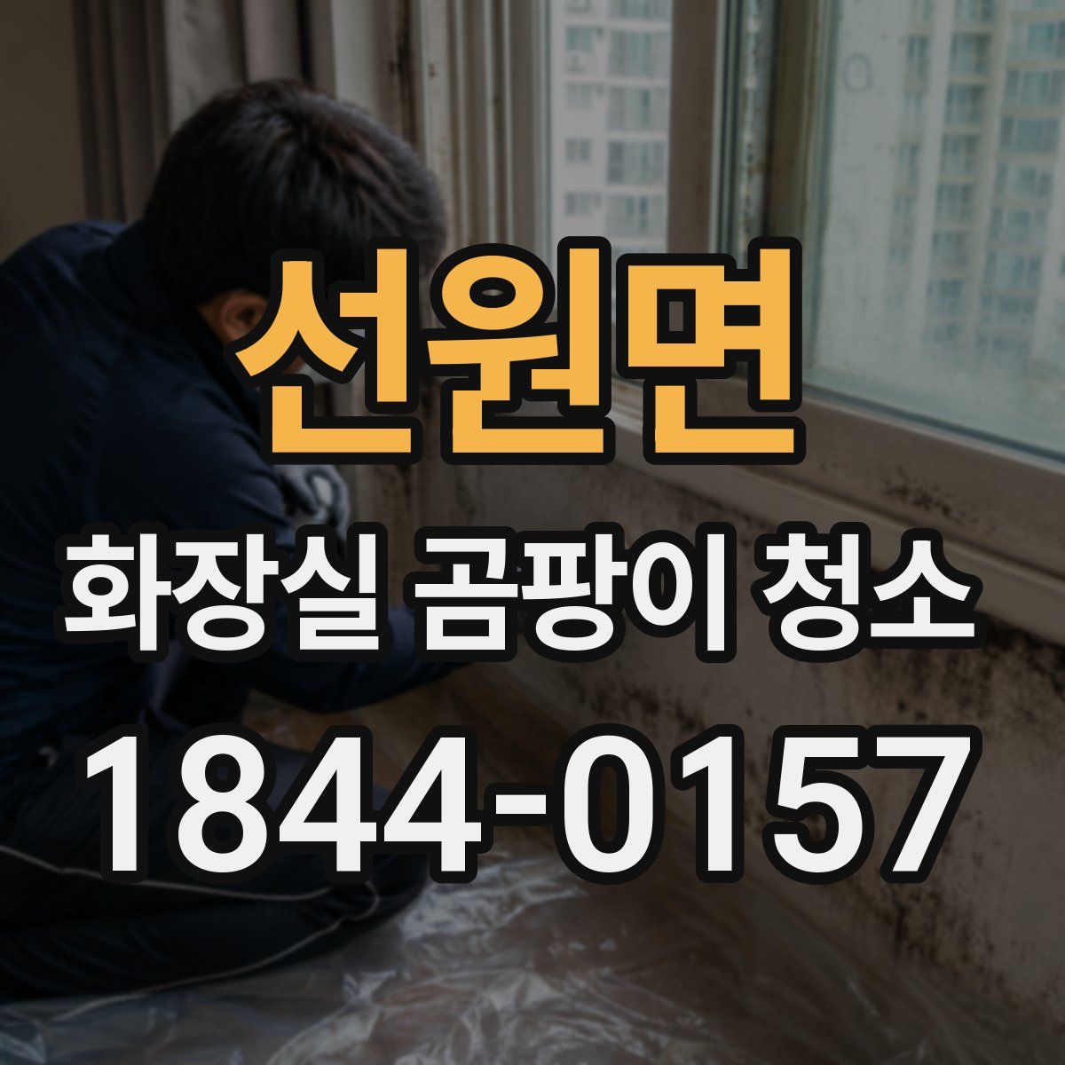 선원면 화장실 곰팡이 청소