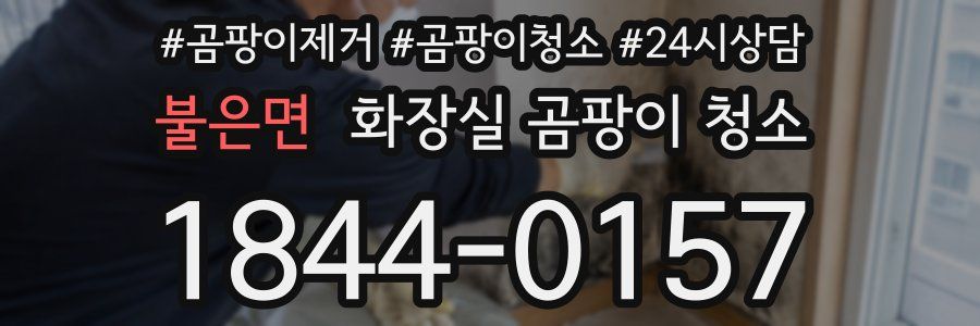 불은면 화장실 곰팡이 청소