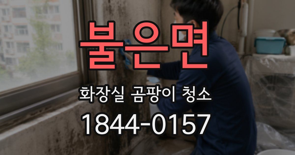 불은면 화장실 곰팡이 청소