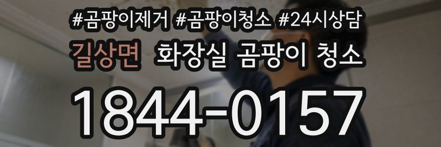길상면 화장실 곰팡이 청소