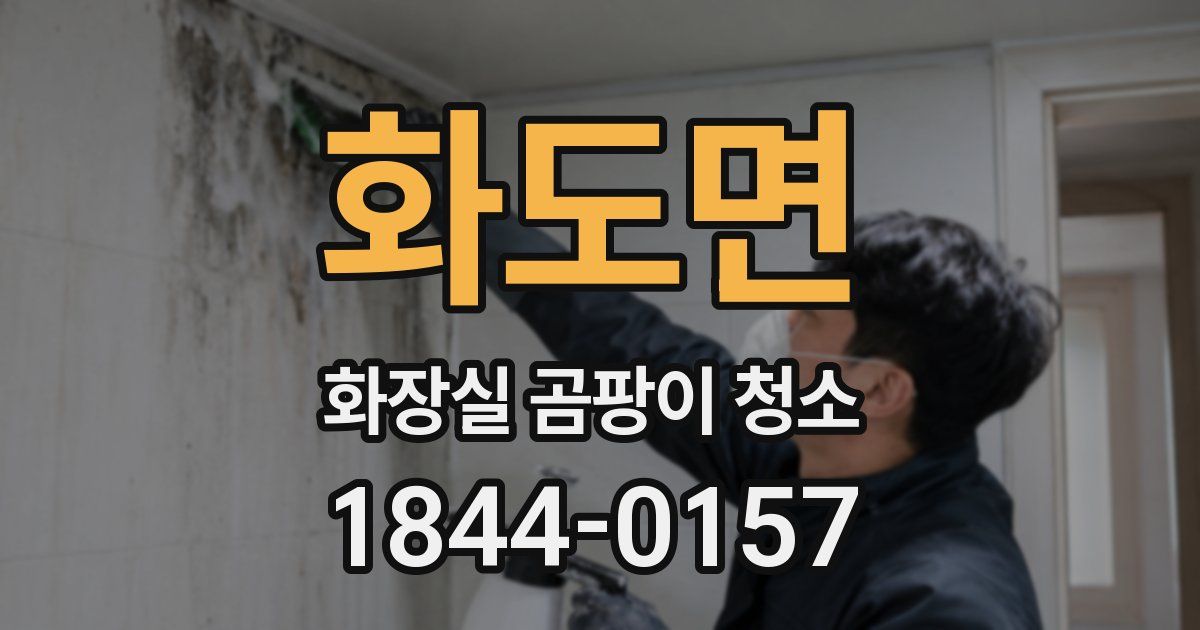 화도면 화장실 곰팡이 청소