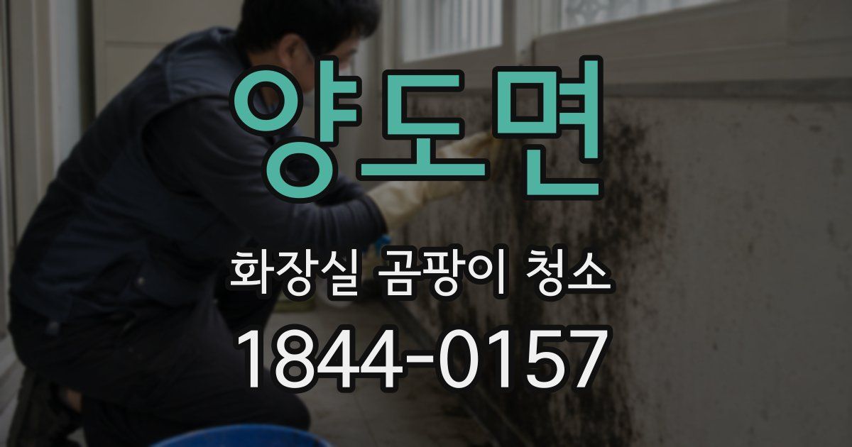 양도면 화장실 곰팡이 청소