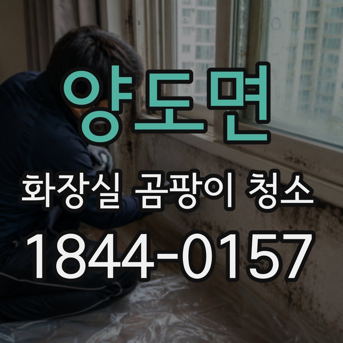 양도면 화장실 곰팡이 청소