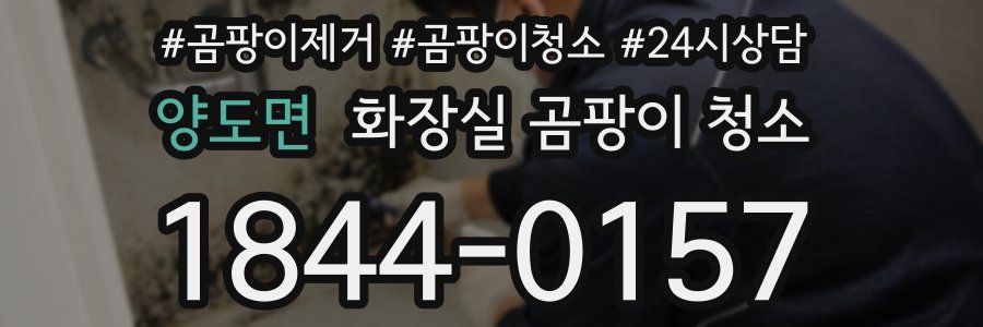 양도면 화장실 곰팡이 청소