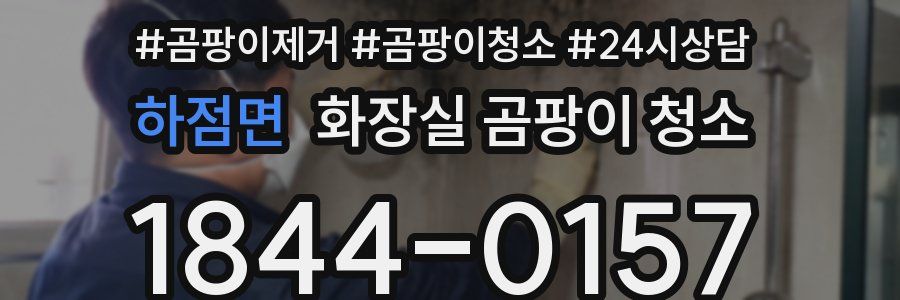 하점면 화장실 곰팡이 청소