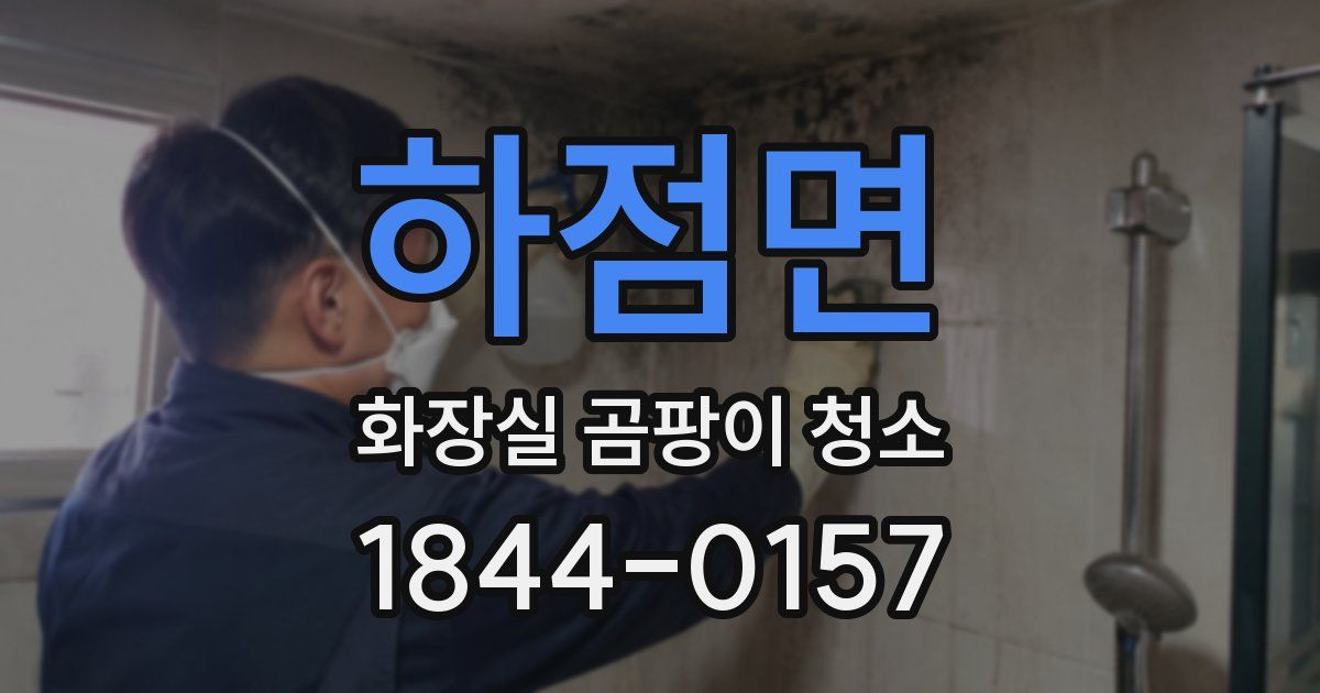 하점면 화장실 곰팡이 청소