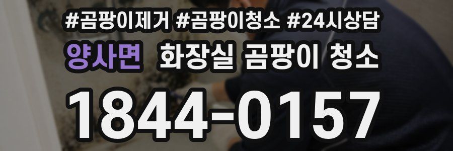 양사면 화장실 곰팡이 청소