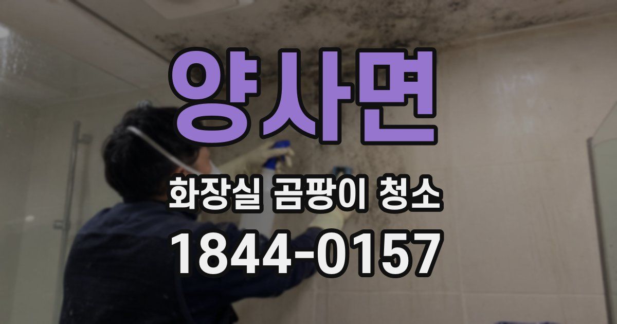 양사면 화장실 곰팡이 청소