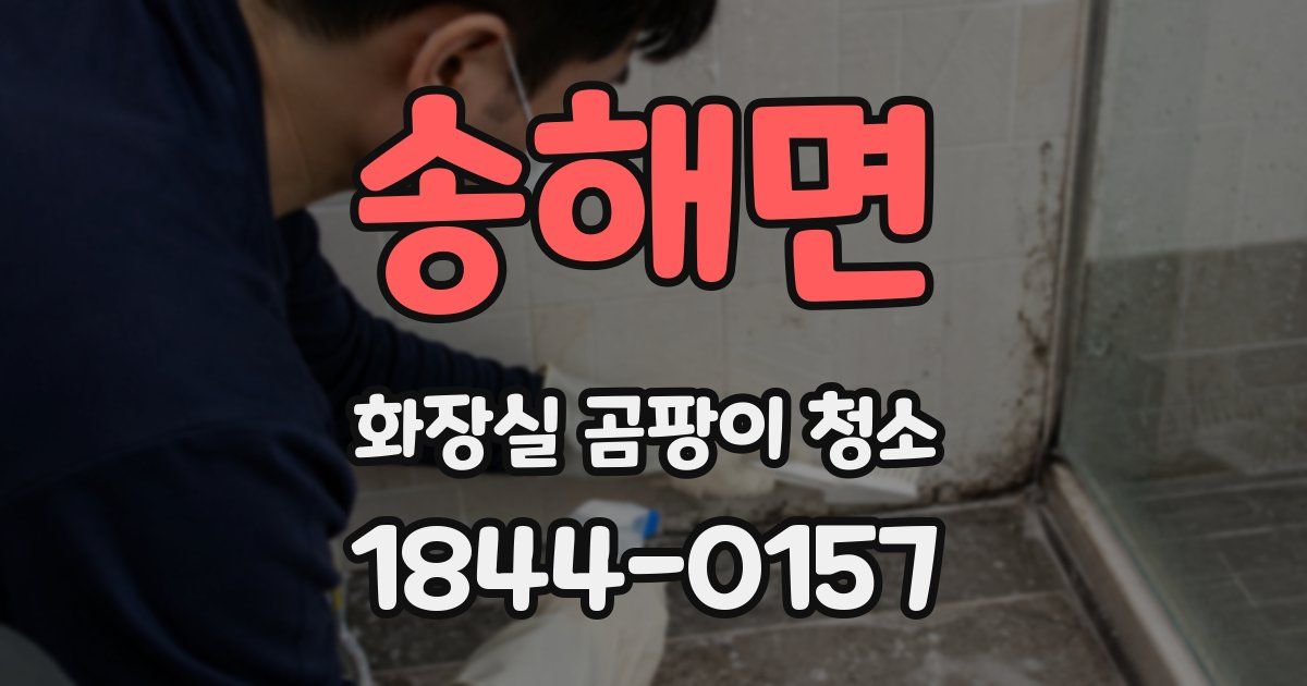 송해면 화장실 곰팡이 청소