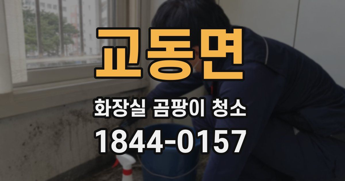 교동면 화장실 곰팡이 청소