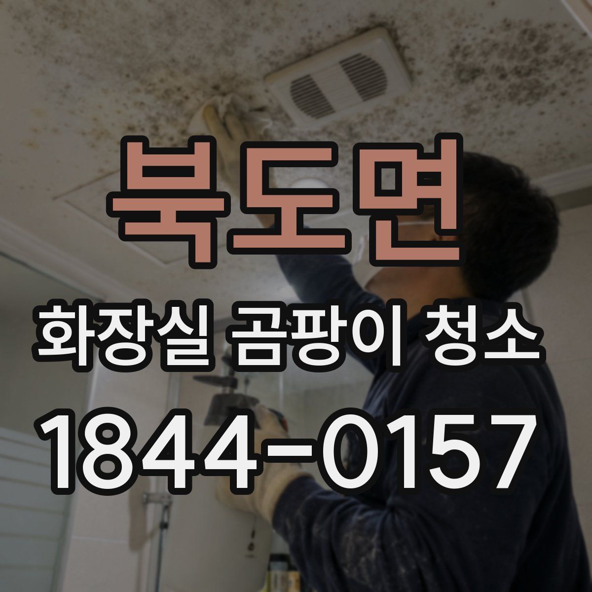 북도면 화장실 곰팡이 청소