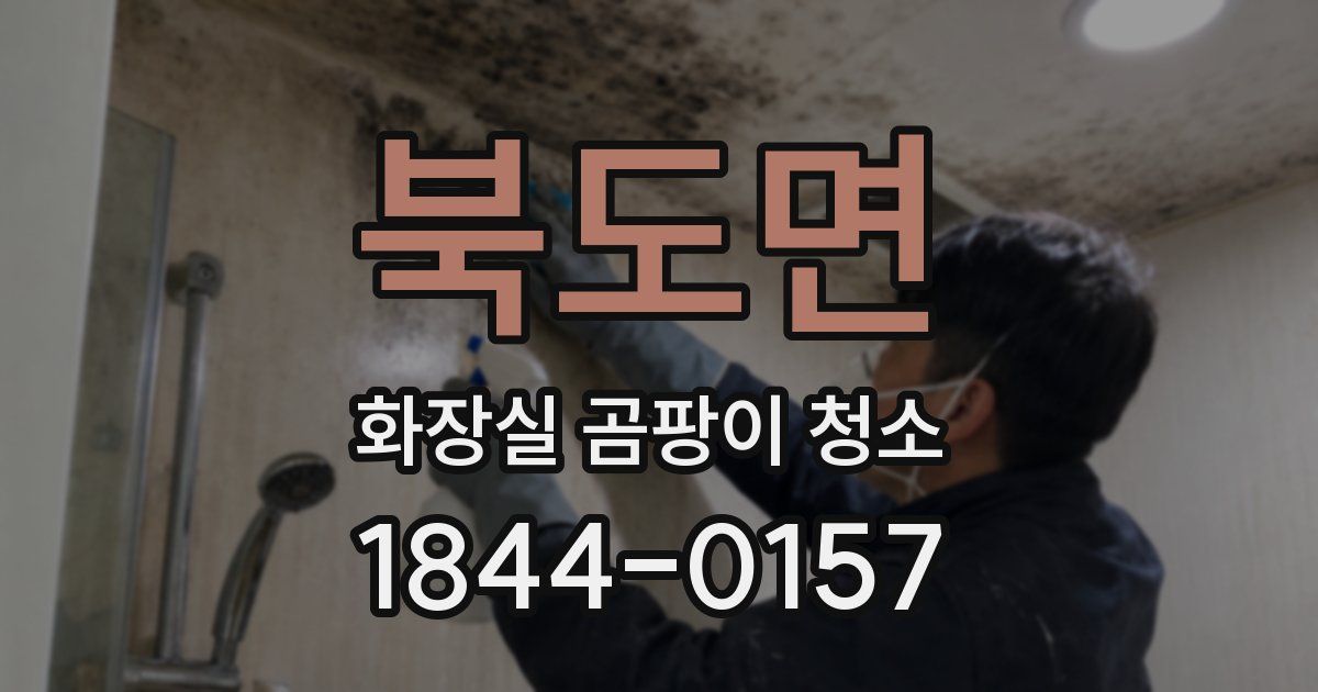 북도면 화장실 곰팡이 청소