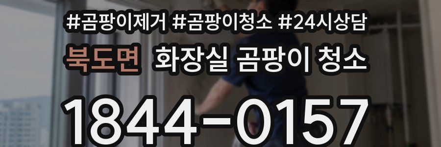 북도면 화장실 곰팡이 청소