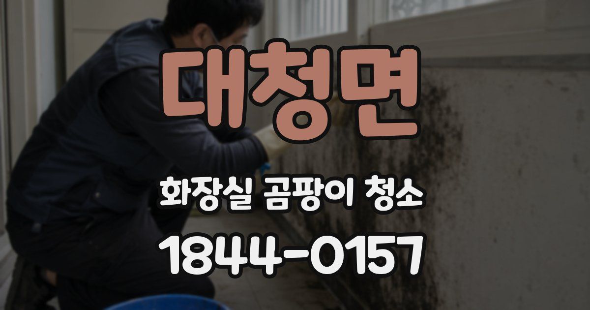 대청면 화장실 곰팡이 청소