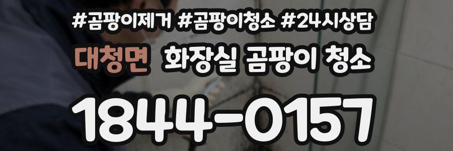 대청면 화장실 곰팡이 청소