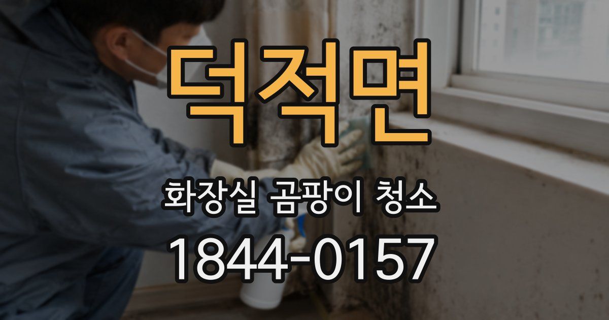 덕적면 화장실 곰팡이 청소