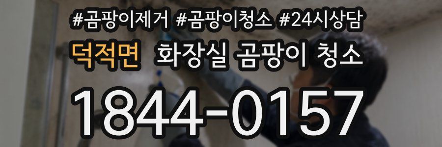 덕적면 화장실 곰팡이 청소