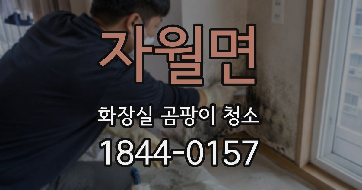 자월면 화장실 곰팡이 청소