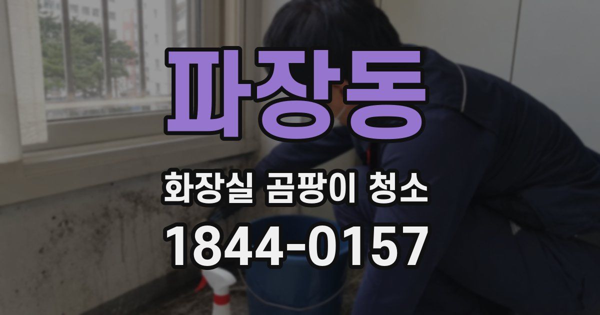 파장동 화장실 곰팡이 청소