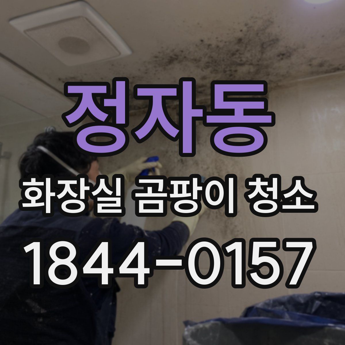정자동 화장실 곰팡이 청소