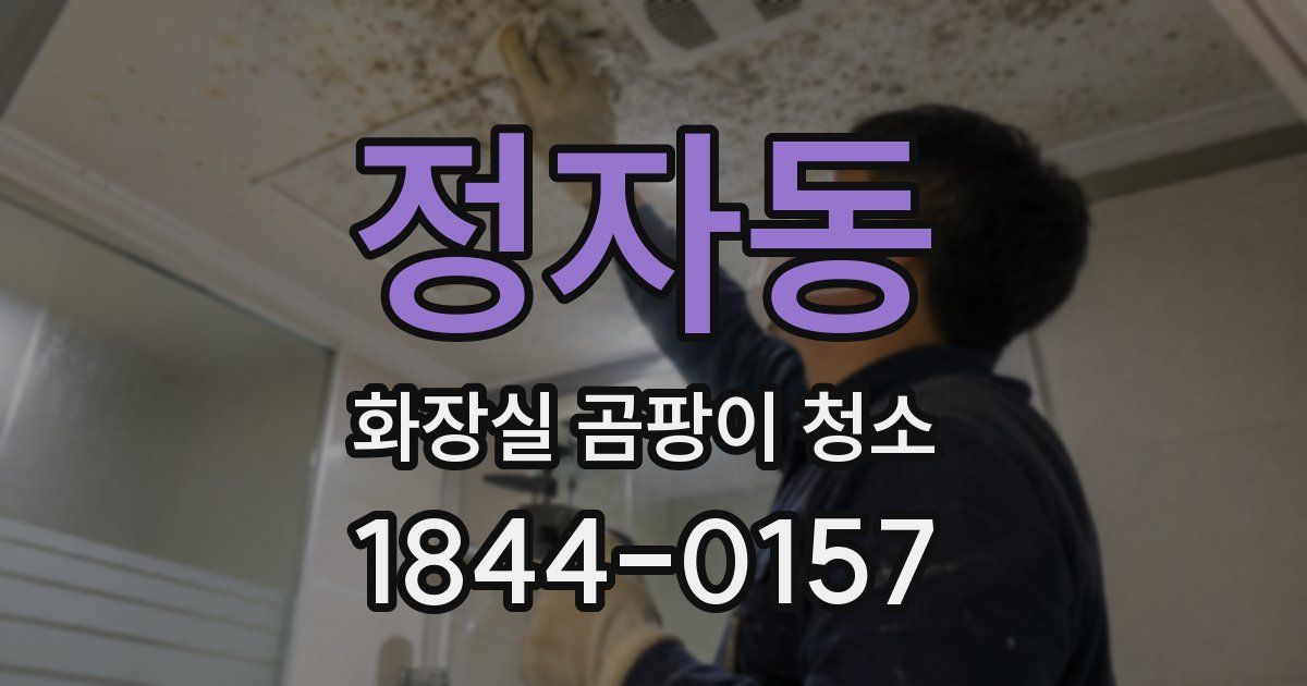 정자동 화장실 곰팡이 청소