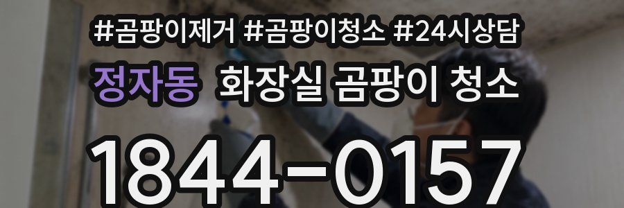 정자동 화장실 곰팡이 청소