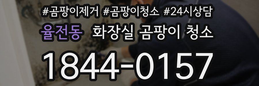 율전동 화장실 곰팡이 청소