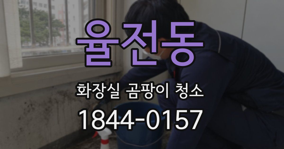율전동 화장실 곰팡이 청소