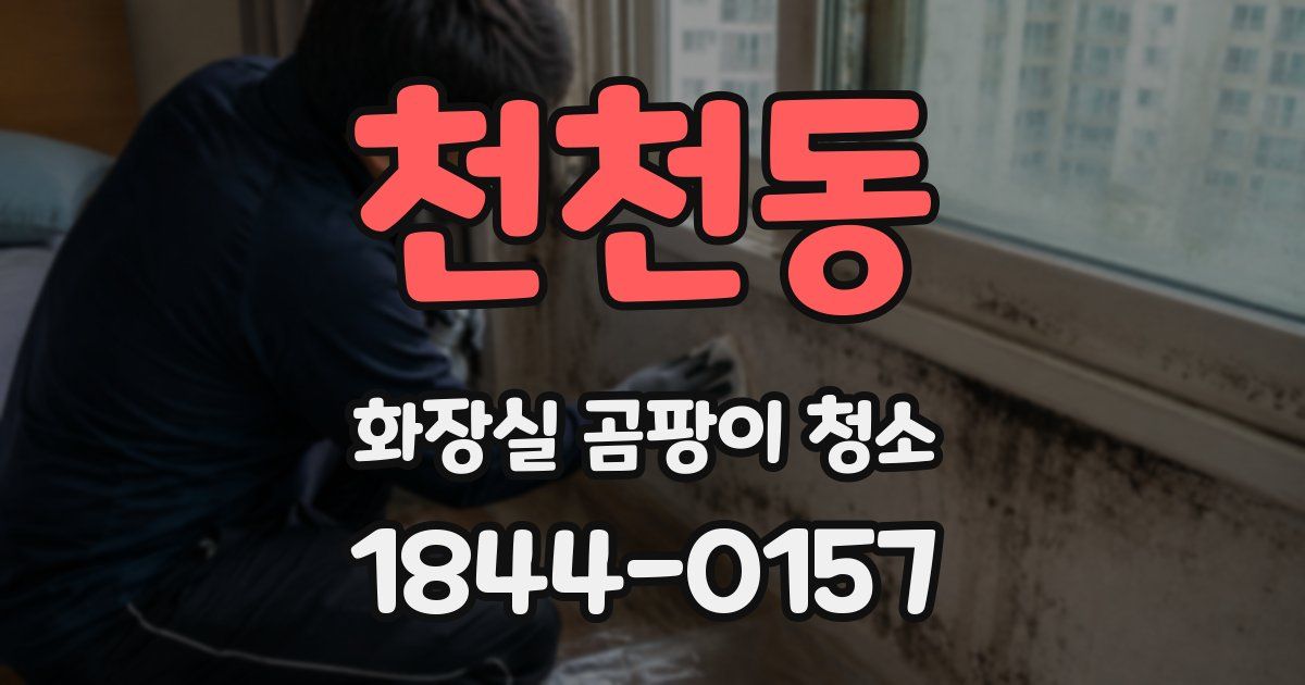 천천동 화장실 곰팡이 청소