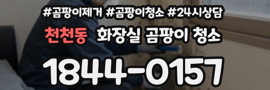 천천동 화장실 곰팡이 청소