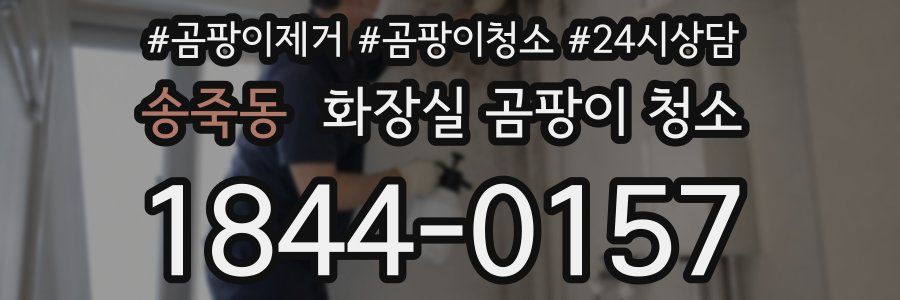 송죽동 화장실 곰팡이 청소