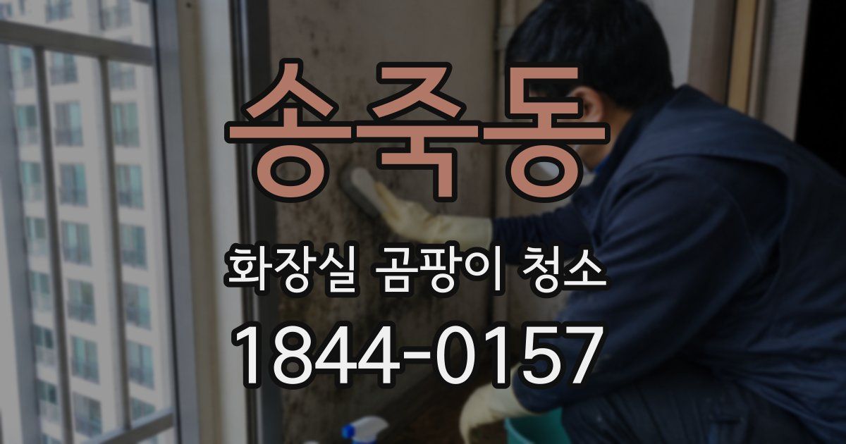 송죽동 화장실 곰팡이 청소