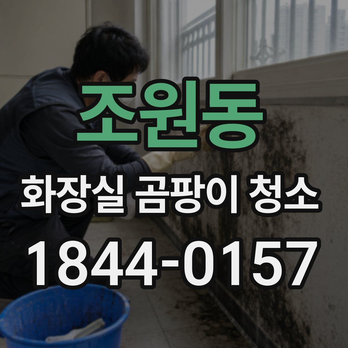 조원동 화장실 곰팡이 청소