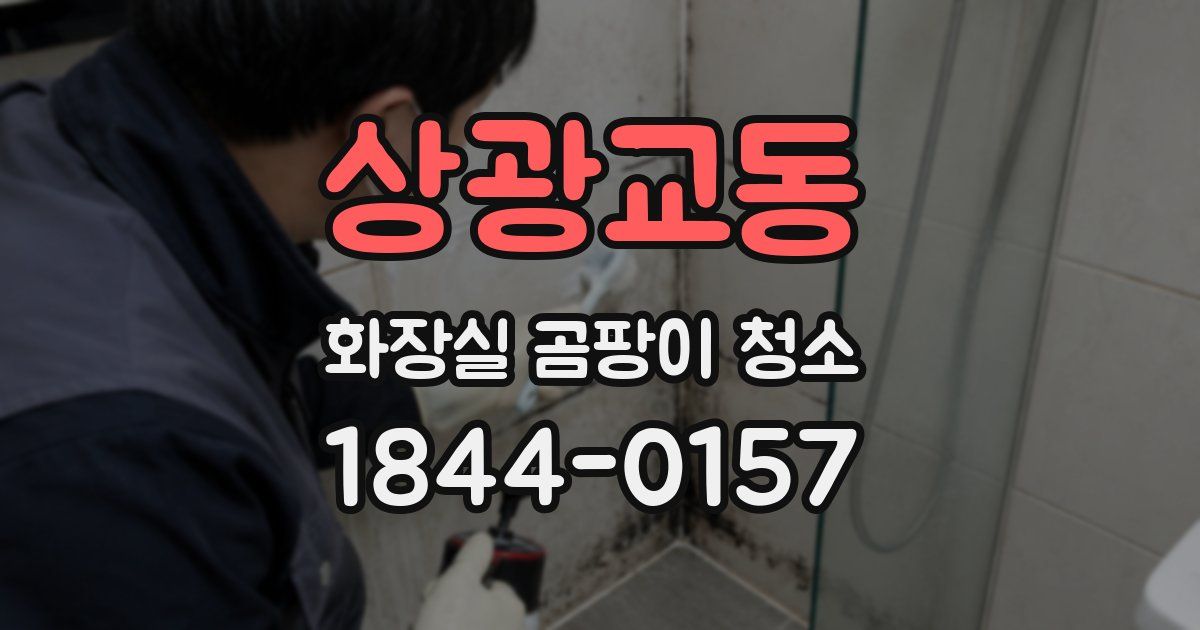 상광교동 화장실 곰팡이 청소
