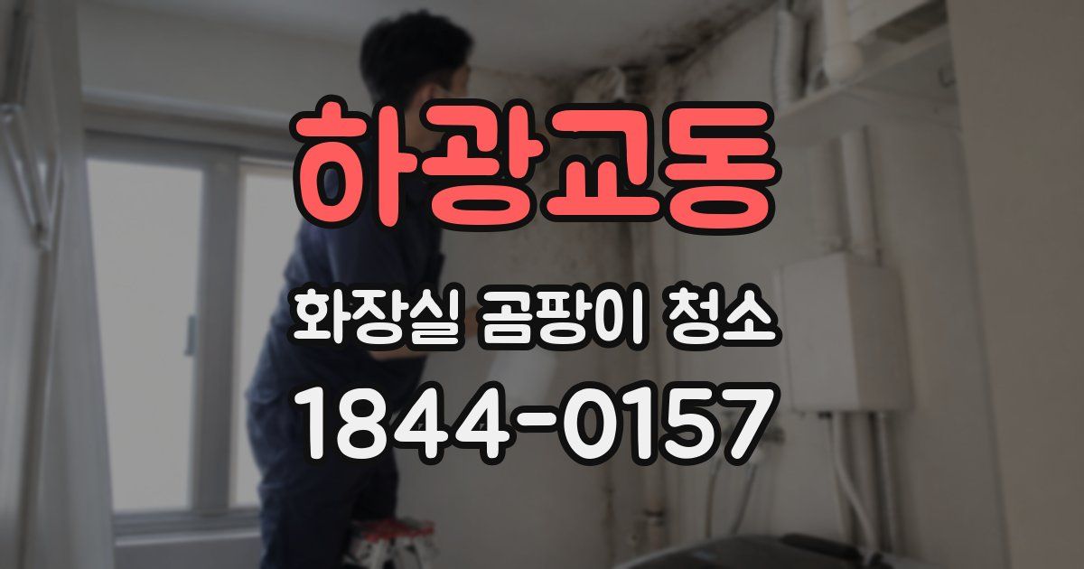 하광교동 화장실 곰팡이 청소