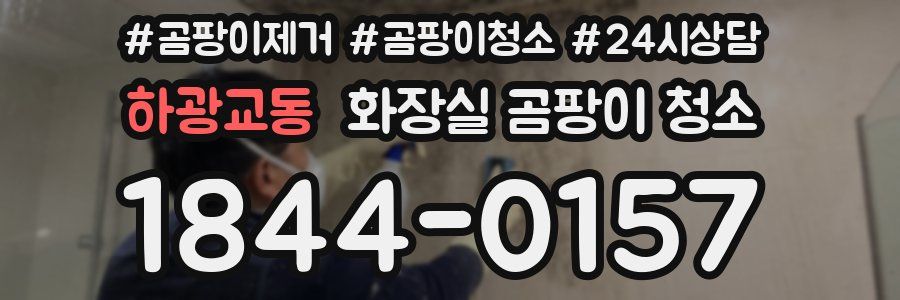 하광교동 화장실 곰팡이 청소