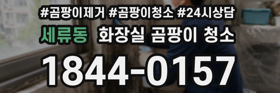 세류동 화장실 곰팡이 청소