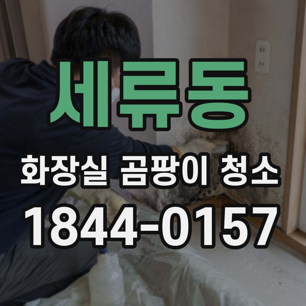 세류동 화장실 곰팡이 청소