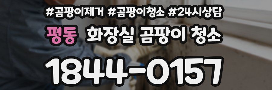 평동 화장실 곰팡이 청소