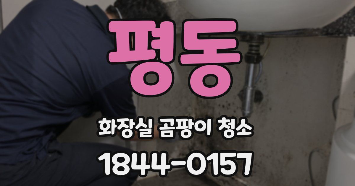 평동 화장실 곰팡이 청소