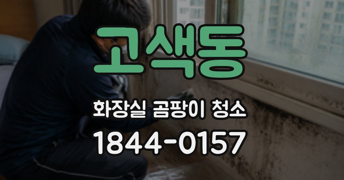 고색동 화장실 곰팡이 청소