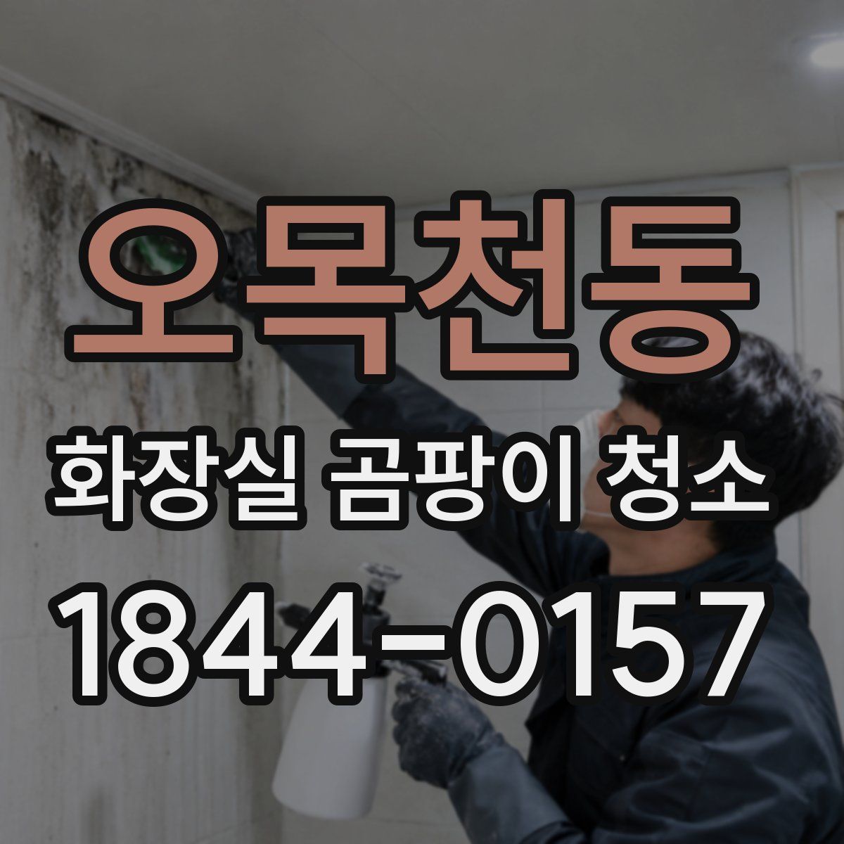 오목천동 화장실 곰팡이 청소