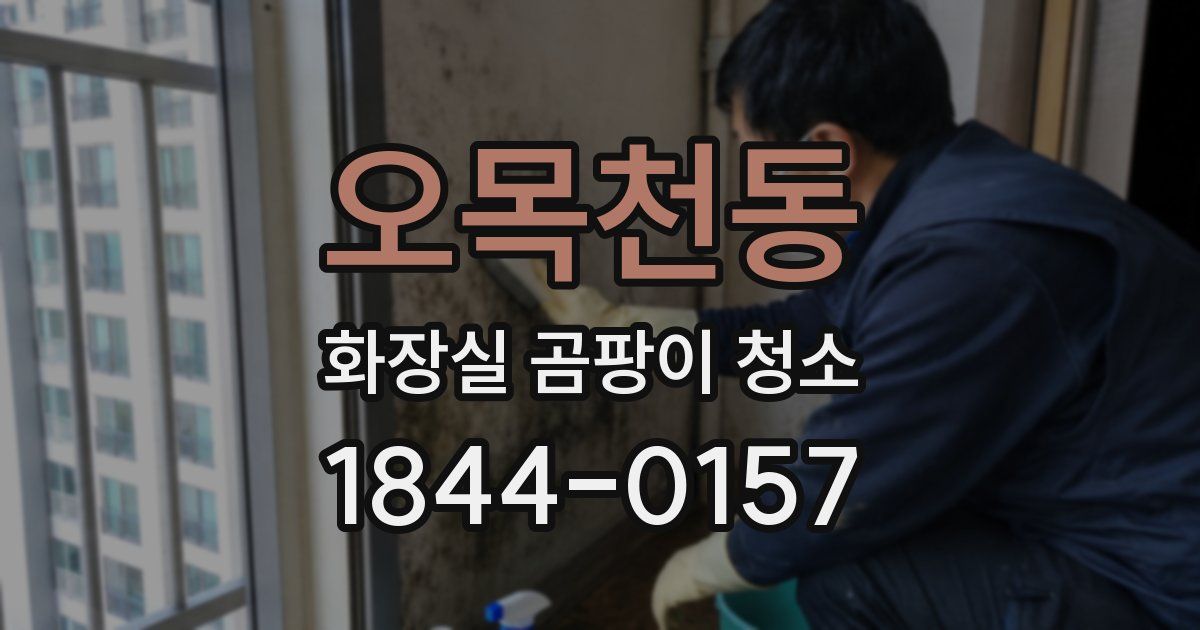 오목천동 화장실 곰팡이 청소